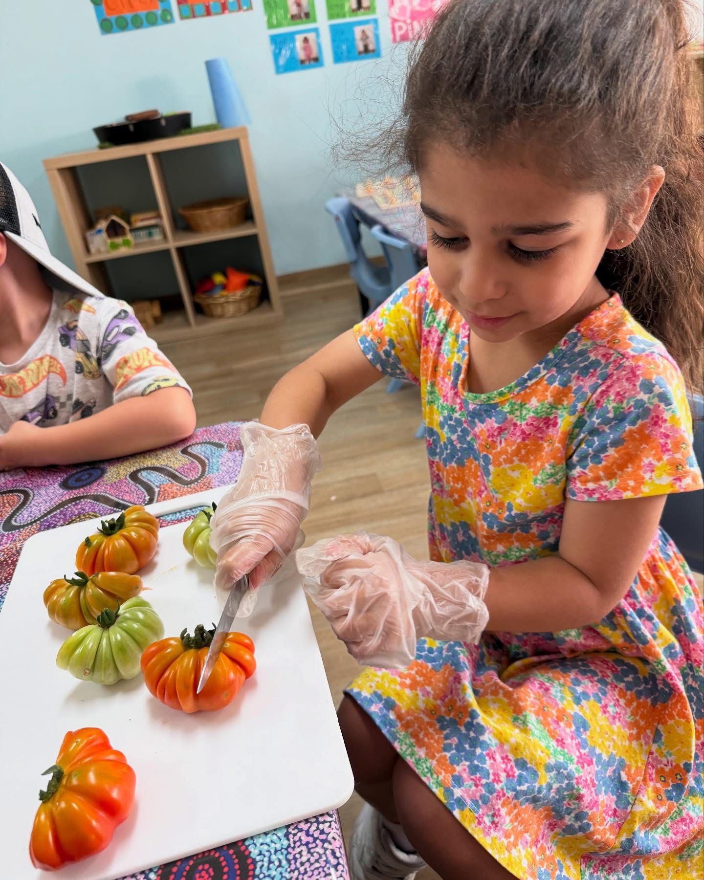 Preschool girl wearing safety gloves while carefully slicing fresh heirloom tomatoes during a classroom cooking class